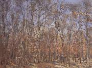 Ferdinand Hodler The Beech Forest (nn02) Spain oil painting artist